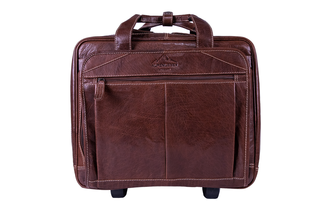 SW1009-b-2