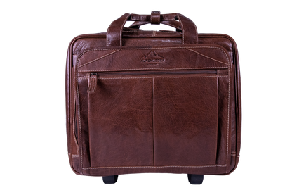 SW1009-b-2