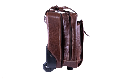 SW1009-b-3