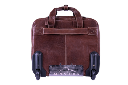 SW1009-b-4