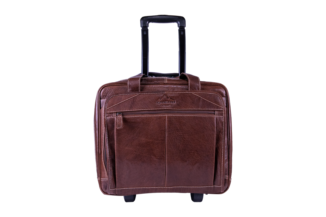 SW1009-b-6
