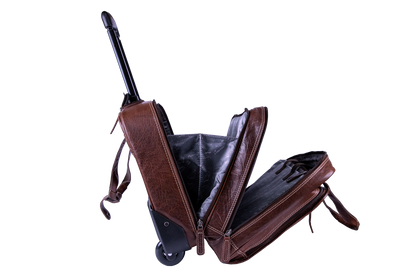 SW1009-b-7